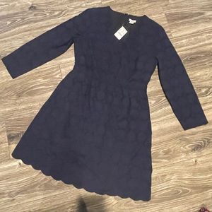 NWT JCrew Dress